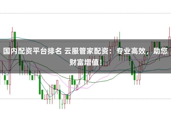 国内配资平台排名 云服管家配资:专业高效,助您财富增值!