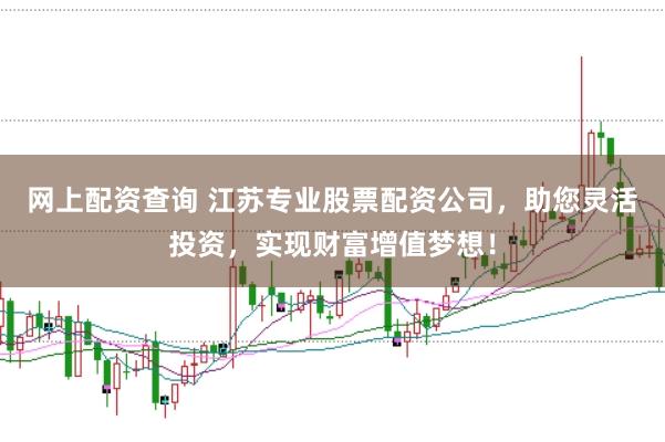 网上配资查询 江苏专业股票配资公司，助您灵活投资，实现财富增值梦想！