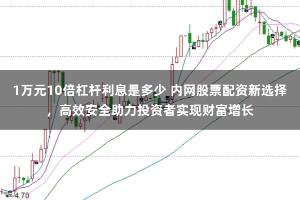 1万元10倍杠杆利息是多少 内网股票配资新选择，高效安全助力投资者实现财富增长