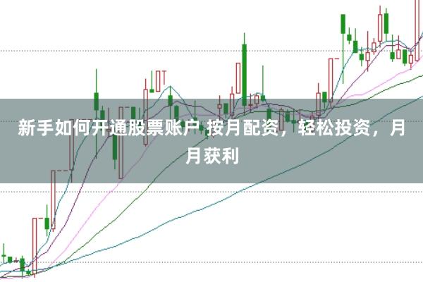 新手如何开通股票账户 按月配资，轻松投资，月月获利