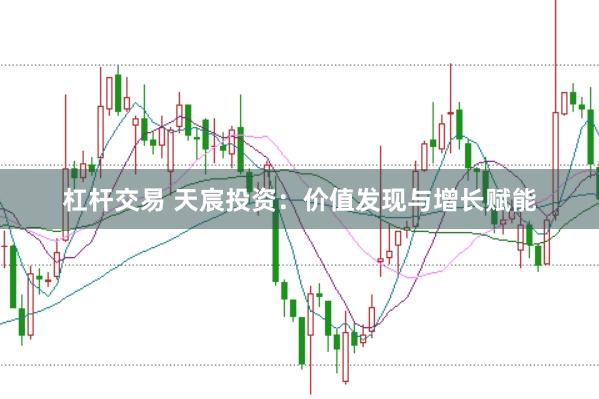 杠杆交易 天宸投资：价值发现与增长赋能
