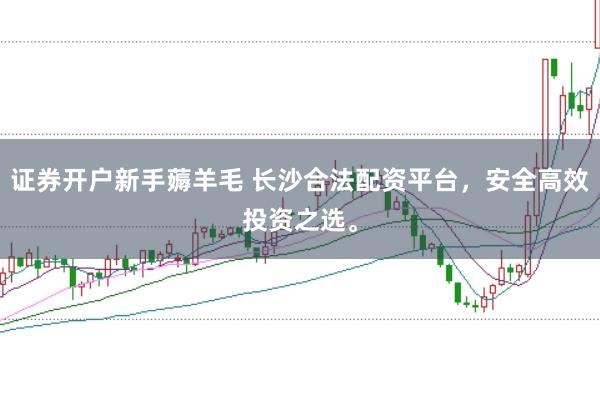 证券开户新手薅羊毛 长沙合法配资平台，安全高效投资之选。
