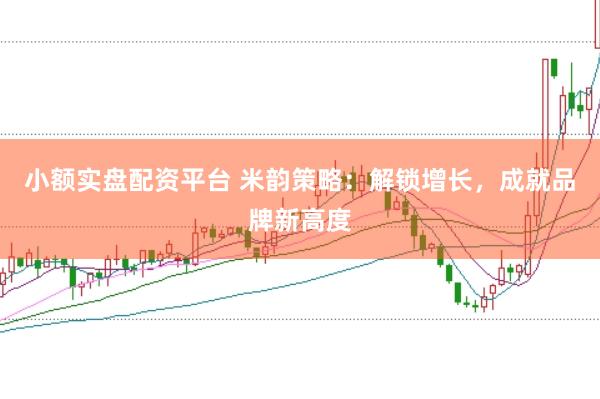 小额实盘配资平台 米韵策略：解锁增长，成就品牌新高度